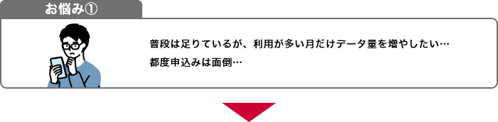 お悩み1 普段は足りているが、利用が多い月だけデータ量を増やしたい…都度申込みは面倒…