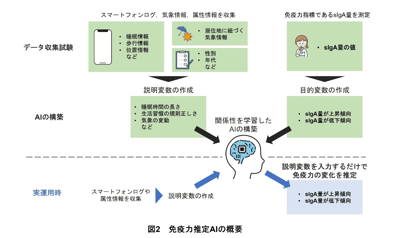 図2 免疫力推定AIの概要