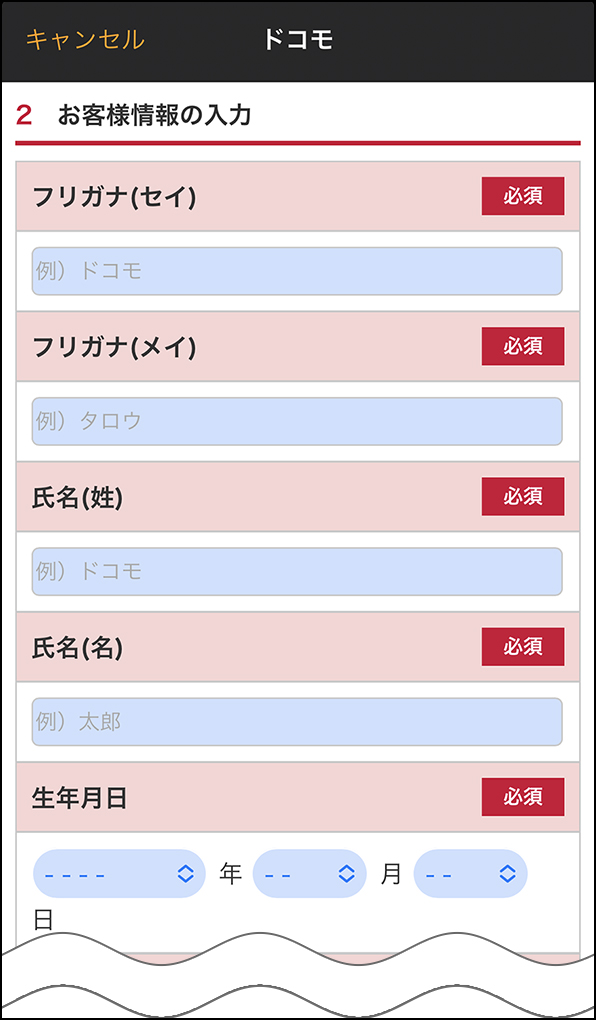 「お客様情報の入力」画面