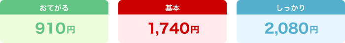おてがる910円、基本1,740円、しっかり2,080円