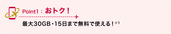 Point1：おトク！ 最大30GB・15日まで無料で使える！※1