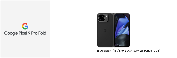 Google Pixel 9 Pro Fold